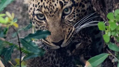 5-Day Northern Tanzania Safari – Migration on a Budget - Image - 7967